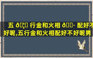 五 🦊 行金和火相 🕷 配好不好呢,五行金和火相配好不好呢男孩